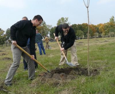 Oradea s-a "îmbogăţit" cu peste 1.000 de arbori, într-o nouă acţiune de plantări 
